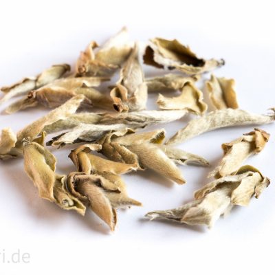 Wilde Teeknospen, Blatt